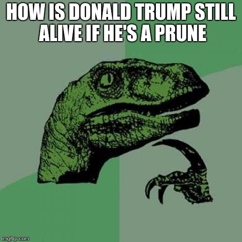 Philosoraptor | HOW IS DONALD TRUMP STILL ALIVE IF HE'S A PRUNE | image tagged in memes,philosoraptor | made w/ Imgflip meme maker