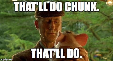 chunk | THAT'LL DO CHUNK. THAT'LL DO. | image tagged in chunk | made w/ Imgflip meme maker