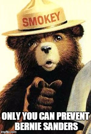 smokey the bear | ONLY YOU CAN PREVENT BERNIE SANDERS | image tagged in smokey the bear | made w/ Imgflip meme maker