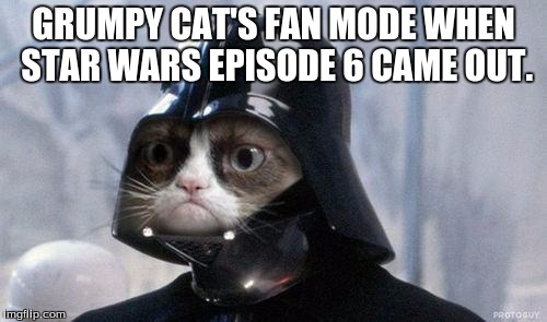 Grumpy Cat Star Wars | GRUMPY CAT'S FAN MODE WHEN STAR WARS EPISODE 6 CAME OUT. | image tagged in memes,grumpy cat star wars,grumpy cat | made w/ Imgflip meme maker