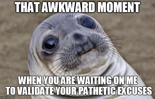 Awkward Moment Sealion Meme | THAT AWKWARD MOMENT; WHEN YOU ARE WAITING ON ME TO VALIDATE YOUR PATHETIC EXCUSES | image tagged in memes,awkward moment sealion | made w/ Imgflip meme maker