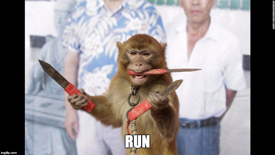 Monkey with Knives | RUN | image tagged in monkey with knives | made w/ Imgflip meme maker