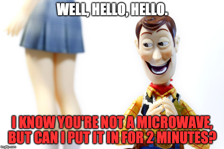 Woody's Bad Pickup Lines #11 | WELL, HELLO, HELLO. I KNOW YOU'RE NOT A MICROWAVE, BUT CAN I PUT IT IN FOR 2 MINUTES? | image tagged in hentai woody,woody,pickup lines,microwave,funny,dirty | made w/ Imgflip meme maker