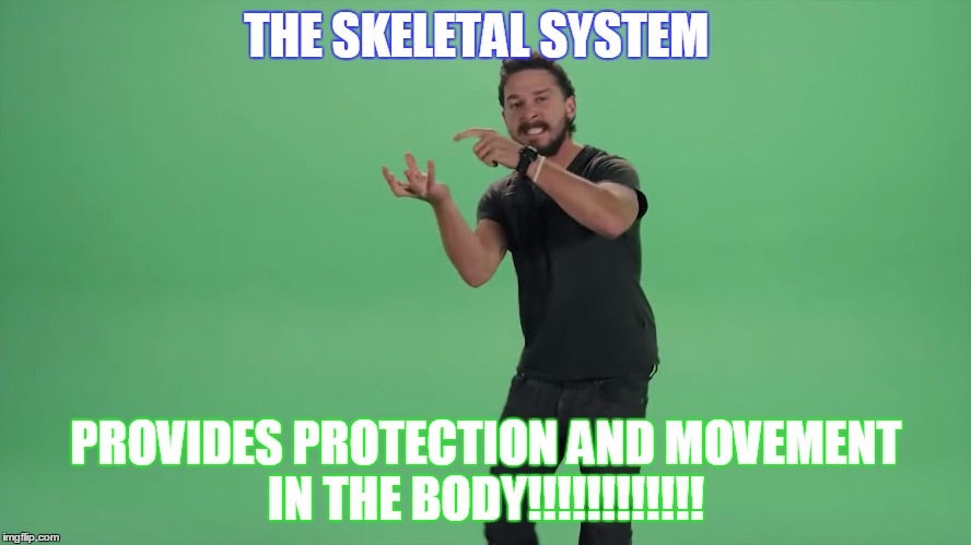 JUST DO IT | THE SKELETAL SYSTEM; PROVIDES PROTECTION AND MOVEMENT IN THE BODY!!!!!!!!!!!! | image tagged in just do it | made w/ Imgflip meme maker