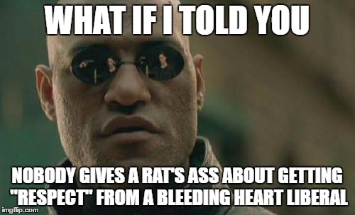 Matrix Morpheus Meme | WHAT IF I TOLD YOU NOBODY GIVES A RAT'S ASS ABOUT GETTING "RESPECT" FROM A BLEEDING HEART LIBERAL | image tagged in memes,matrix morpheus | made w/ Imgflip meme maker