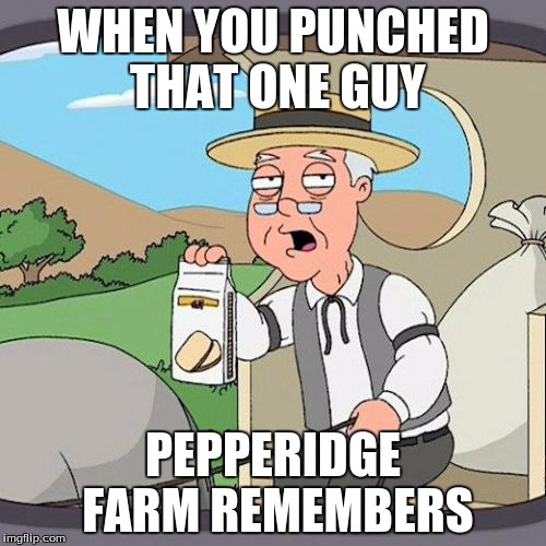We know that one fight | WHEN YOU PUNCHED THAT ONE GUY; PEPPERIDGE FARM REMEMBERS | image tagged in memes,pepperidge farm remembers | made w/ Imgflip meme maker