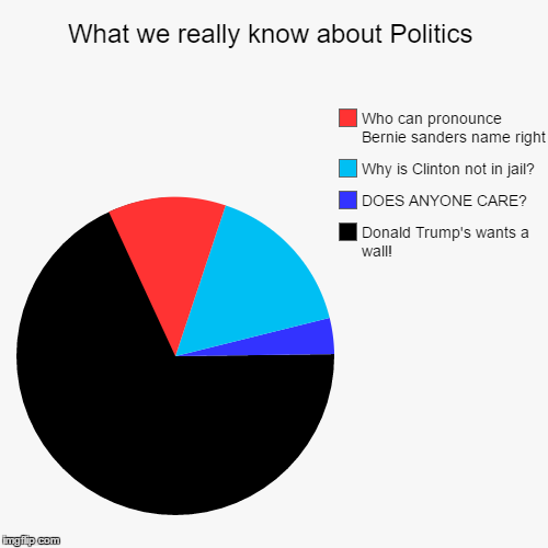 Politics man. | image tagged in funny,pie charts | made w/ Imgflip chart maker