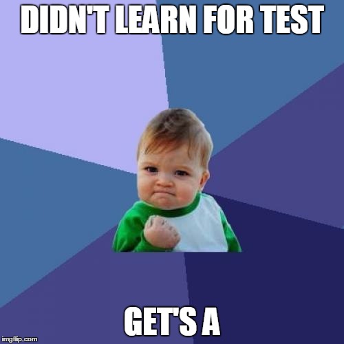 Success Kid Meme | DIDN'T LEARN FOR TEST; GET'S A | image tagged in memes,success kid | made w/ Imgflip meme maker