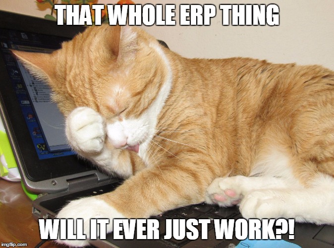 ERP! It's frustrating! | THAT WHOLE ERP THING; WILL IT EVER JUST WORK?! | image tagged in erp frustrations,frustrated,it is hard,it,computers,system administration | made w/ Imgflip meme maker