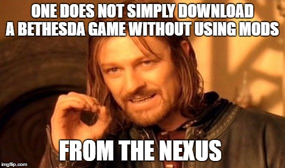 One Does Not Simply | ONE DOES NOT SIMPLY DOWNLOAD A BETHESDA GAME WITHOUT USING MODS; FROM THE NEXUS | image tagged in memes,one does not simply | made w/ Imgflip meme maker