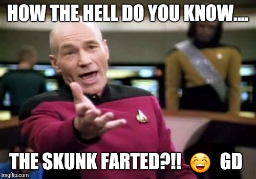 Picard Wtf Meme | HOW THE HELL DO YOU KNOW.... THE SKUNK FARTED?!!  😁  GD | image tagged in memes,picard wtf | made w/ Imgflip meme maker