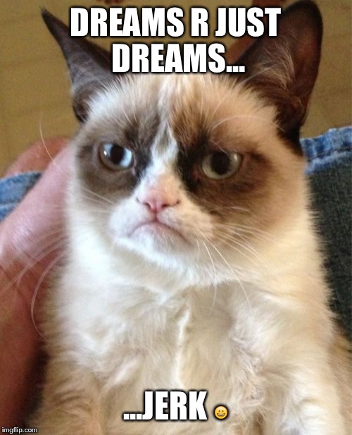 Grumpy Cat Meme | DREAMS R JUST DREAMS... ...JERK 😀 | image tagged in memes,grumpy cat | made w/ Imgflip meme maker