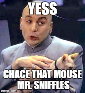 Dr Evil Cat |  YESS; CHACE THAT MOUSE MR. SNIFFLES | image tagged in dr evil cat | made w/ Imgflip meme maker
