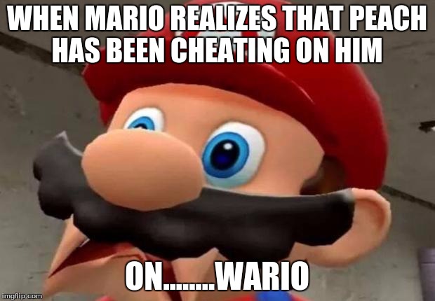 Mario WTF | WHEN MARIO REALIZES THAT PEACH HAS BEEN CHEATING ON HIM; ON........WARIO | image tagged in mario wtf | made w/ Imgflip meme maker