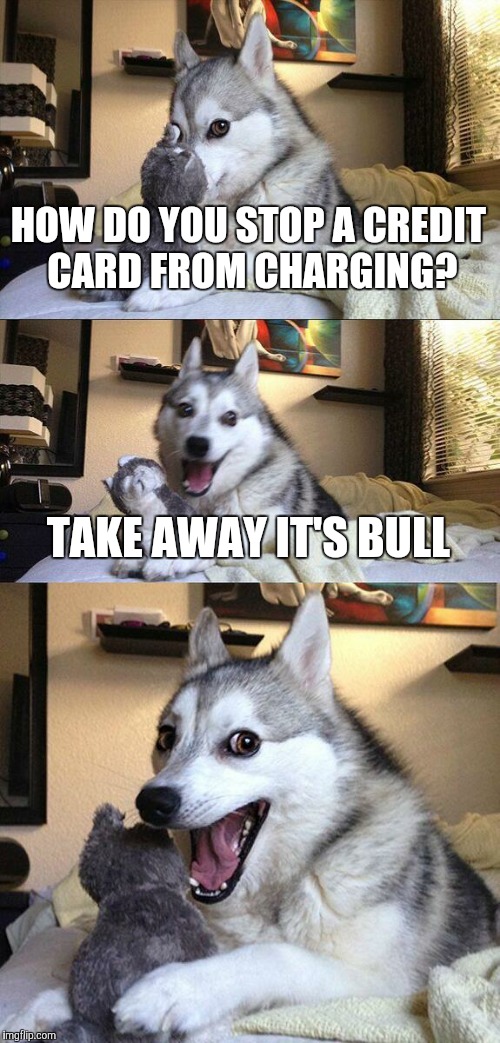 Bad Pun Dog | HOW DO YOU STOP A CREDIT CARD FROM CHARGING? TAKE AWAY IT'S BULL | image tagged in memes,bad pun dog | made w/ Imgflip meme maker