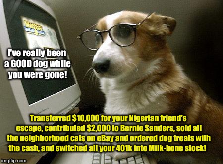 What computer literate dogs would do while you are gone. | I've really been a GOOD dog while you were gone! Transferred $10,000 for your Nigerian friend's escape, contributed $2,000 to Bernie Sanders, sold all the neighborhood cats on eBay and ordered dog treats with the cash, and switched all your 401k into Milk-bone stock! | image tagged in smart dog,computer,nigerian scam,political donation,milk-bone stock,selling cats | made w/ Imgflip meme maker