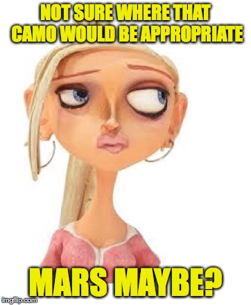 Paranorman Courtney | NOT SURE WHERE THAT CAMO WOULD BE APPROPRIATE MARS MAYBE? | image tagged in paranorman courtney | made w/ Imgflip meme maker