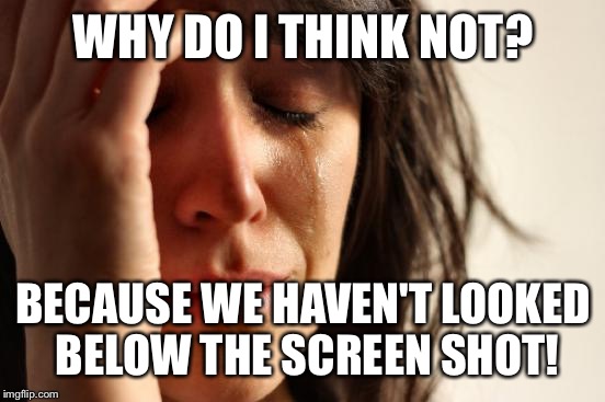 First World Problems Meme | WHY DO I THINK NOT? BECAUSE WE HAVEN'T LOOKED BELOW THE SCREEN SHOT! | image tagged in memes,first world problems | made w/ Imgflip meme maker