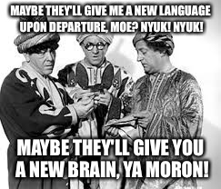 MAYBE THEY'LL GIVE ME A NEW LANGUAGE UPON DEPARTURE, MOE? NYUK! NYUK! MAYBE THEY'LL GIVE YOU A NEW BRAIN, YA MORON! | made w/ Imgflip meme maker