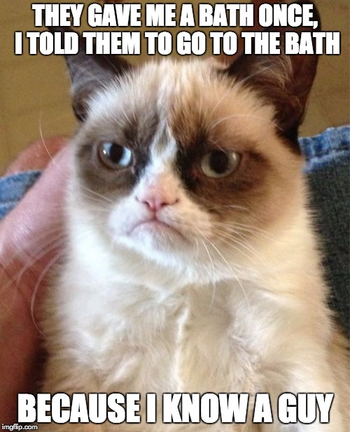 Grumpy Cat | THEY GAVE ME A BATH ONCE, I TOLD THEM TO GO TO THE BATH; BECAUSE I KNOW A GUY | image tagged in memes,grumpy cat | made w/ Imgflip meme maker