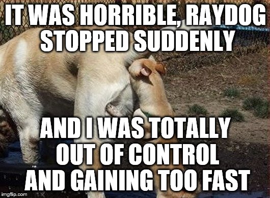 IT WAS HORRIBLE, RAYDOG STOPPED SUDDENLY AND I WAS TOTALLY OUT OF CONTROL AND GAINING TOO FAST | made w/ Imgflip meme maker