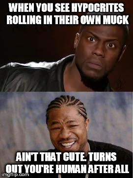 D'awwwww XD | WHEN YOU SEE HYPOCRITES ROLLING IN THEIR OWN MUCK; AIN'T THAT CUTE. TURNS OUT YOU'RE HUMAN AFTER ALL | image tagged in memes,hypocrite,kevin hart the hell,yo dawg | made w/ Imgflip meme maker