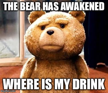 TED | THE BEAR HAS AWAKENED; WHERE IS MY DRINK | image tagged in memes,ted | made w/ Imgflip meme maker