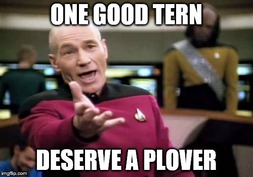 Picard Wtf Meme | ONE GOOD TERN DESERVE A PLOVER | image tagged in memes,picard wtf | made w/ Imgflip meme maker