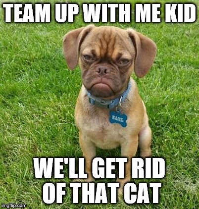 TEAM UP WITH ME KID WE'LL GET RID OF THAT CAT | made w/ Imgflip meme maker