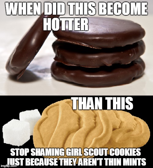 WHEN DID THIS BECOME HOTTER                                                                                                                 THAN THIS; STOP SHAMING GIRL SCOUT COOKIES JUST BECAUSE THEY AREN'T THIN MINTS | image tagged in girl scout cookies,thin mints,memes | made w/ Imgflip meme maker
