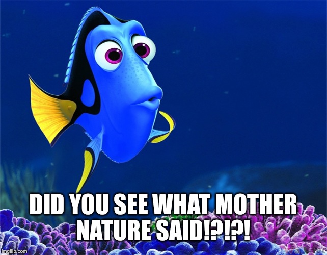 DID YOU SEE WHAT MOTHER NATURE SAID!?!?! | made w/ Imgflip meme maker