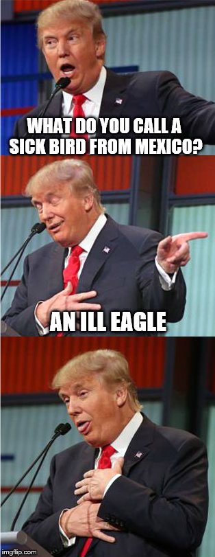Bad Pun Trump |  WHAT DO YOU CALL A SICK BIRD FROM MEXICO? AN ILL EAGLE | image tagged in bad pun trump,donald trump,bad pun,memes,original meme | made w/ Imgflip meme maker