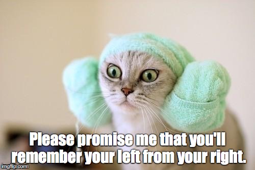 Princess LeiaCat | Please promise me that you'll remember your left from your right. | image tagged in princess leiacat | made w/ Imgflip meme maker