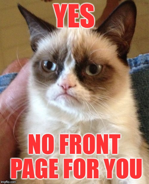 Grumpy Cat Meme | YES NO FRONT PAGE FOR YOU | image tagged in memes,grumpy cat | made w/ Imgflip meme maker