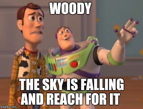 X, X Everywhere Meme | WOODY; THE SKY IS FALLING AND REACH FOR IT | image tagged in memes,x x everywhere | made w/ Imgflip meme maker