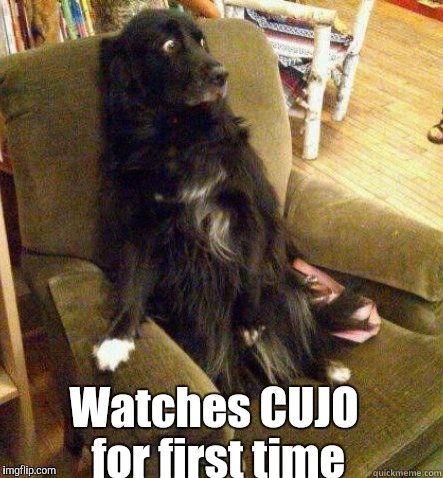 Dogs | Watches CUJO for first time | image tagged in dogs | made w/ Imgflip meme maker