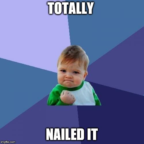 Success Kid Meme | TOTALLY NAILED IT | image tagged in memes,success kid | made w/ Imgflip meme maker
