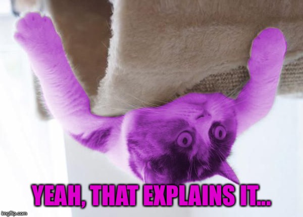 RayCat Stare | YEAH, THAT EXPLAINS IT... | image tagged in raycat stare | made w/ Imgflip meme maker