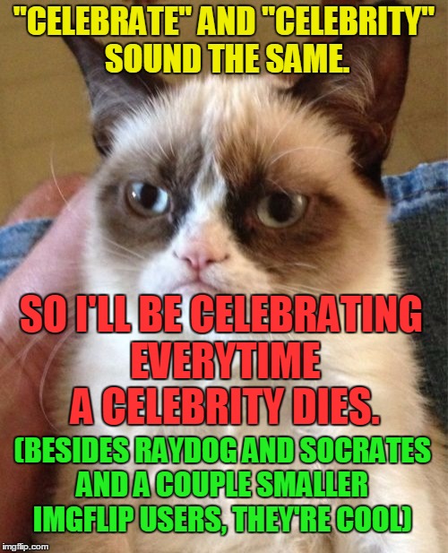 Woah... That is just too far... | "CELEBRATE" AND "CELEBRITY" SOUND THE SAME. SO I'LL BE CELEBRATING EVERYTIME A CELEBRITY DIES. (BESIDES RAYDOG AND SOCRATES AND A COUPLE SMALLER IMGFLIP USERS, THEY'RE COOL) | image tagged in memes,grumpy cat,raydog,socrates,celebrity,die | made w/ Imgflip meme maker