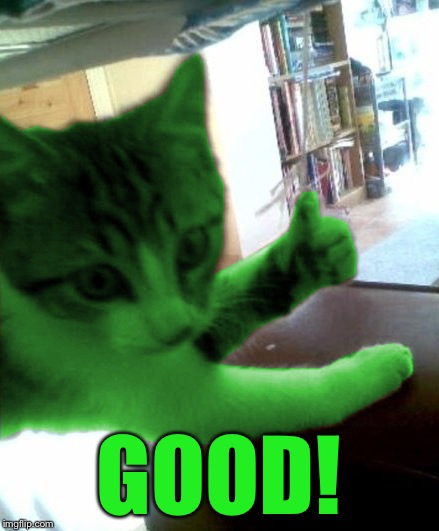 thumbs up RayCat | GOOD! | image tagged in thumbs up raycat | made w/ Imgflip meme maker