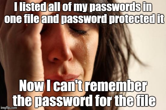 First World Problems Meme | I listed all of my passwords in one file and password protected it Now I can't remember the password for the file | image tagged in memes,first world problems | made w/ Imgflip meme maker