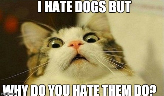 I HATE DOGS BUT WHY DO YOU HATE THEM DO? | made w/ Imgflip meme maker