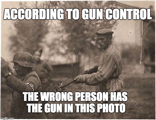 ACCORDING TO GUN CONTROL; THE WRONG PERSON HAS THE GUN IN THIS PHOTO | image tagged in nazis,guns,america,one does not simply | made w/ Imgflip meme maker