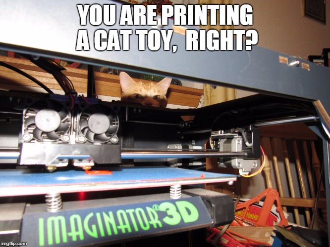 3d printing for cats | YOU ARE PRINTING A CAT TOY, 
RIGHT? | image tagged in 3dprint,imaginator3d,cat toy,3d cat,printing for cat | made w/ Imgflip meme maker