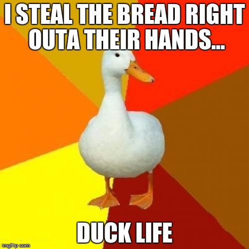 well i thought it was hillarious | I STEAL THE BREAD
RIGHT OUTA THEIR HANDS... DUCK LIFE | image tagged in memes,tech impaired duck,funny | made w/ Imgflip meme maker