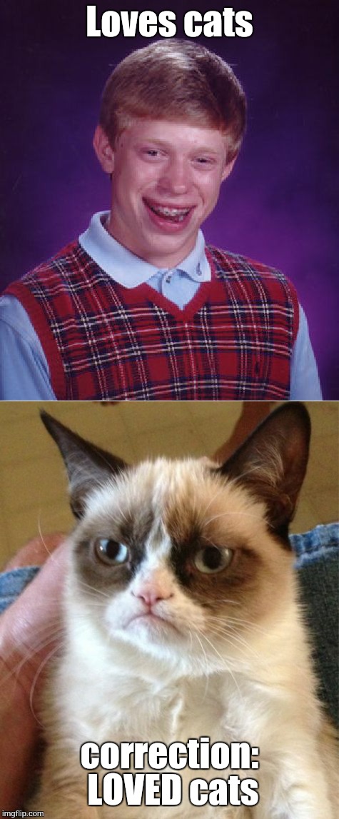 Poor Brian | Loves cats; correction: LOVED cats | image tagged in bad luck brian,grumpy cat,cats | made w/ Imgflip meme maker