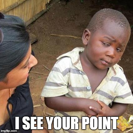 I SEE YOUR POINT | image tagged in memes,third world skeptical kid | made w/ Imgflip meme maker