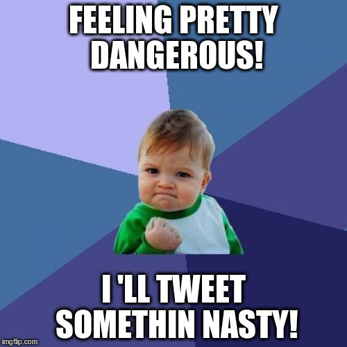 Success Kid Meme | FEELING PRETTY DANGEROUS! I 'LL TWEET SOMETHIN NASTY! | image tagged in memes,success kid | made w/ Imgflip meme maker