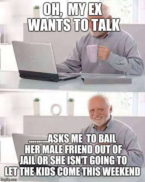 how it works  | OH,  MY EX WANTS TO TALK; ..........ASKS ME  TO BAIL HER MALE FRIEND OUT OF JAIL OR SHE ISN'T GOING TO LET THE KIDS COME THIS WEEKEND | image tagged in memes,hide the pain harold | made w/ Imgflip meme maker