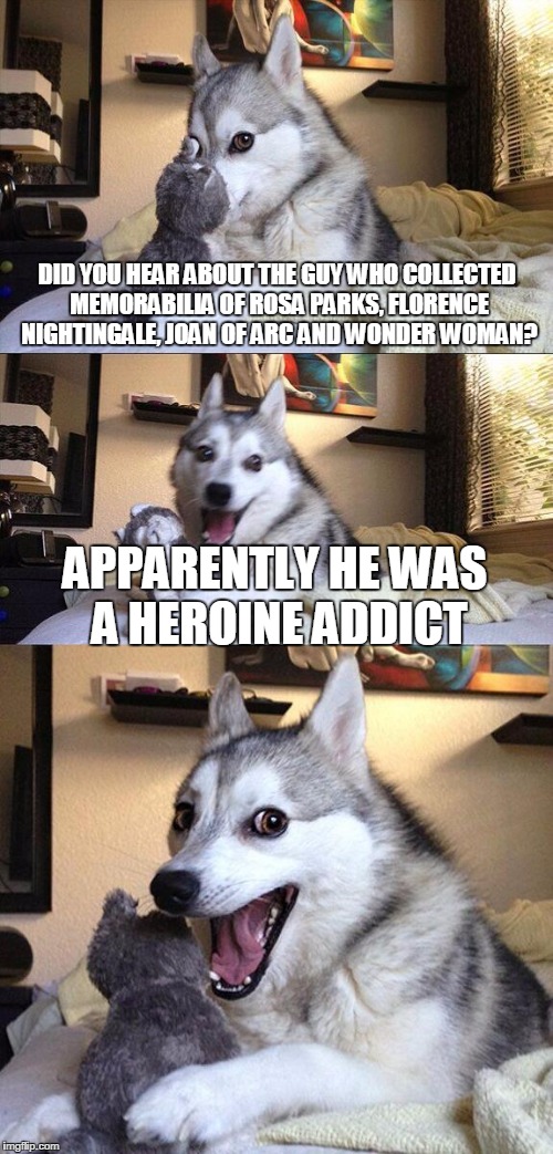 Bad Pun Dog Meme | DID YOU HEAR ABOUT THE GUY WHO COLLECTED MEMORABILIA OF ROSA PARKS, FLORENCE NIGHTINGALE, JOAN OF ARC AND WONDER WOMAN? APPARENTLY HE WAS A HEROINE ADDICT | image tagged in memes,bad pun dog | made w/ Imgflip meme maker